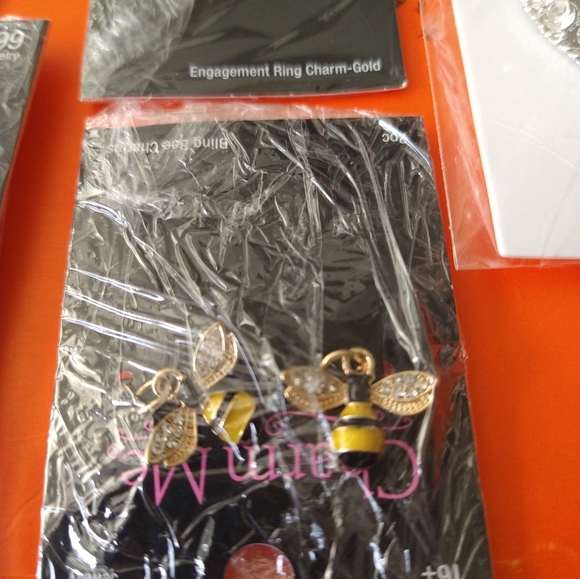 Charms - Picture 6 of 7